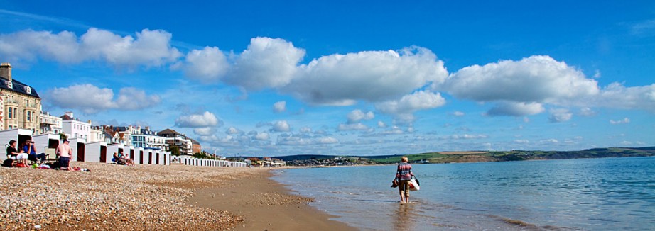 NEW! Syd Hill Raised Show Weymouth- Black